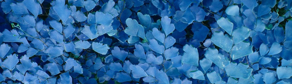 大切な人と生きるグリーフケア沖縄